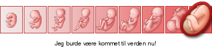 http://graviditet-og-barn.dk/ticker/40b49eec51/929.png