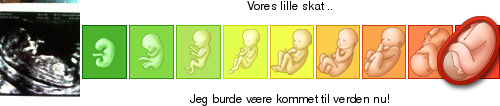 http://graviditet-og-barn.dk/ticker/a2e988125b/896.png